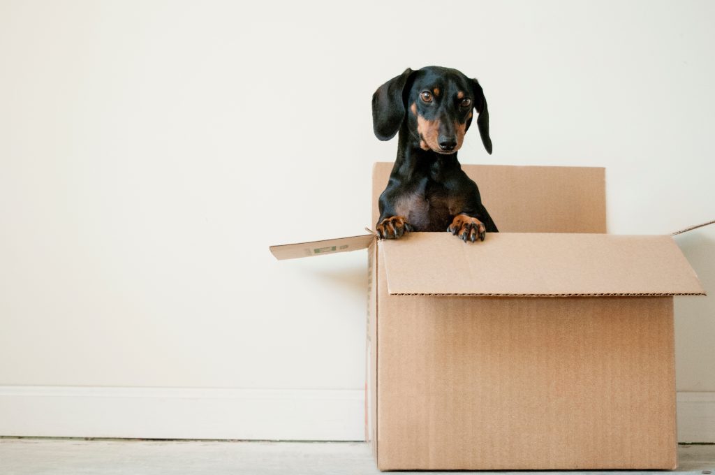 A moving box used for moving from NYC to Chicago.