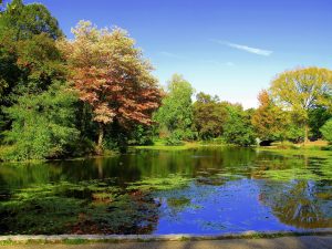 Prospect Park - Things to do in Park Slope
