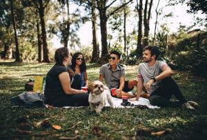 Group of friends sitting on a grass with a dog